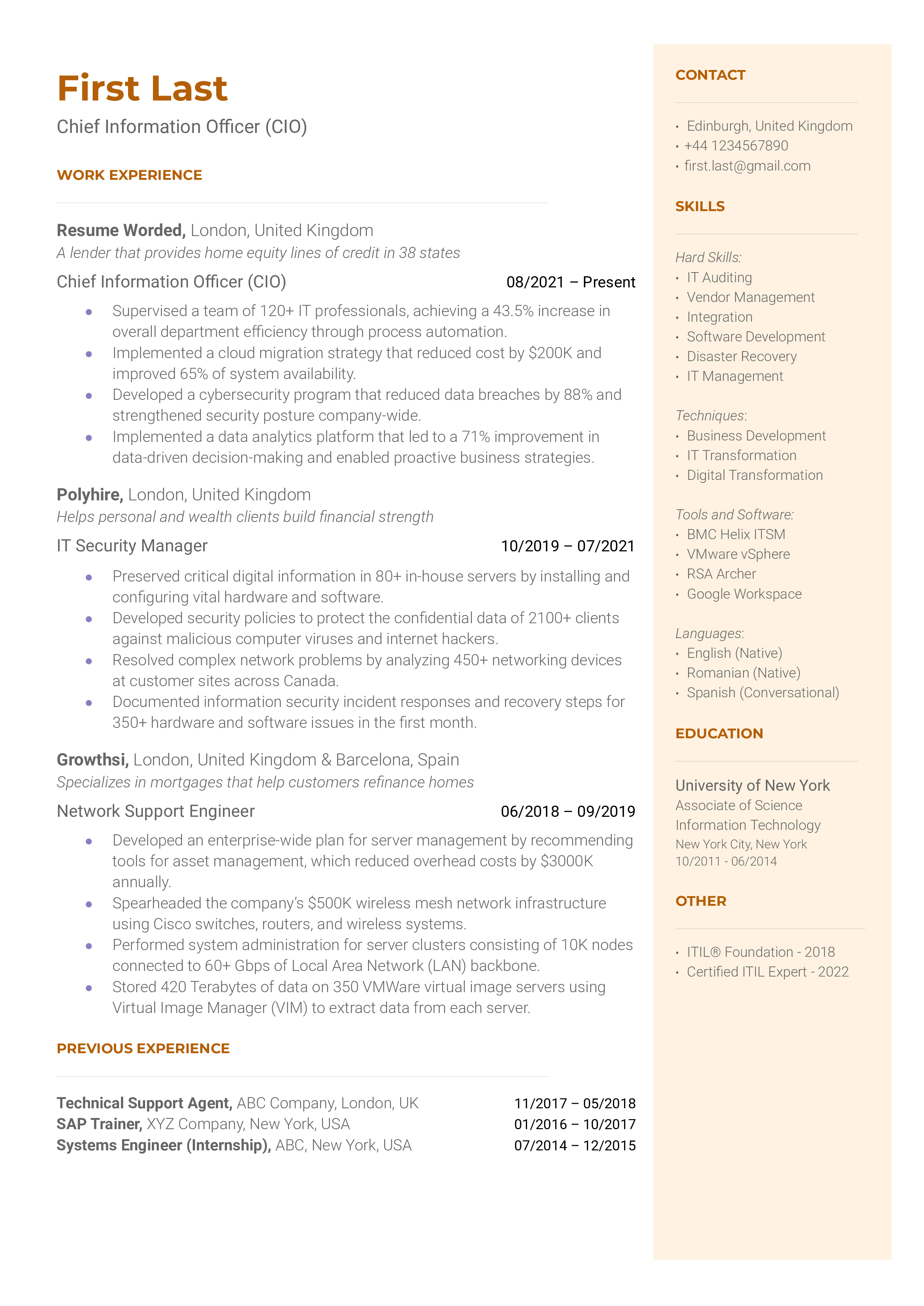 Chief Information Officer (CIO) Resume Sample