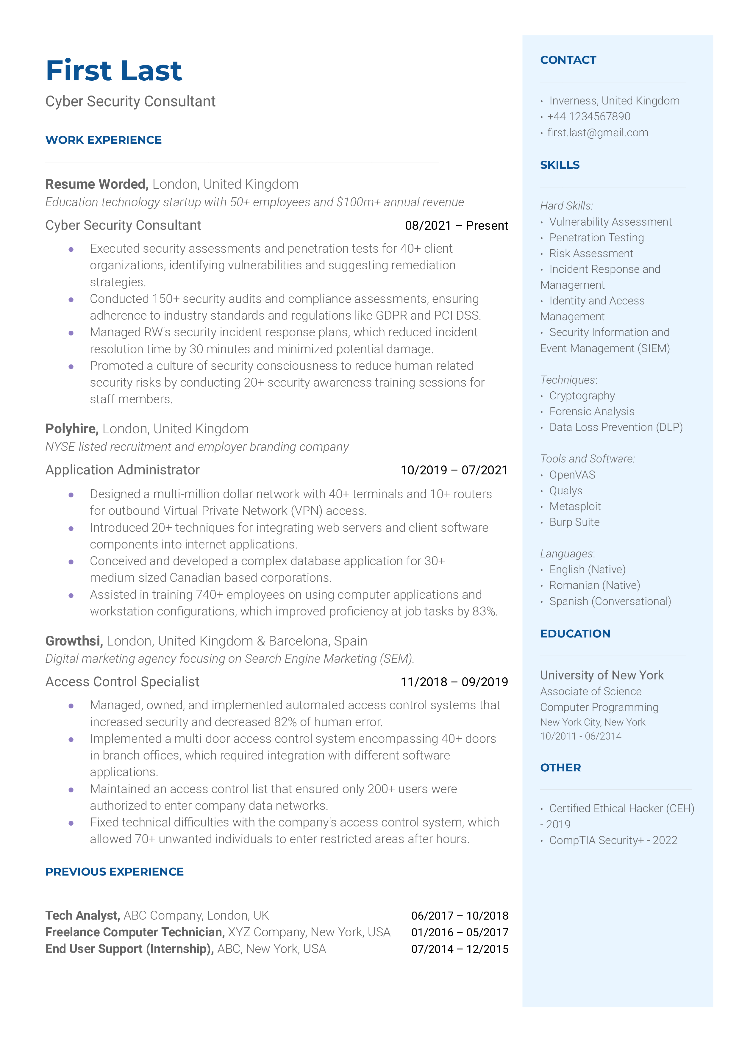 Cyber Security Consultant Resume Sample