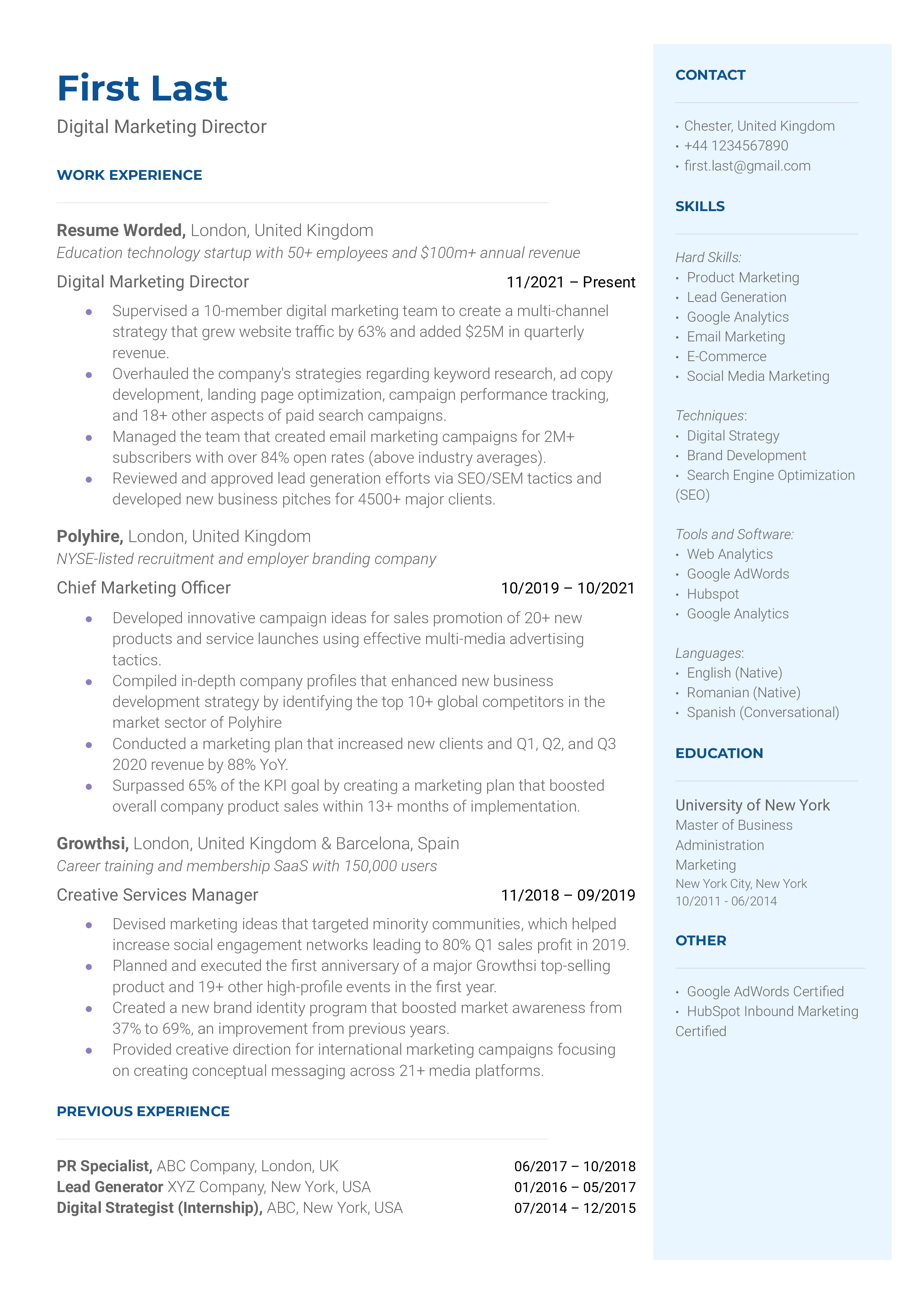 Digital Marketing Director Resume Sample
