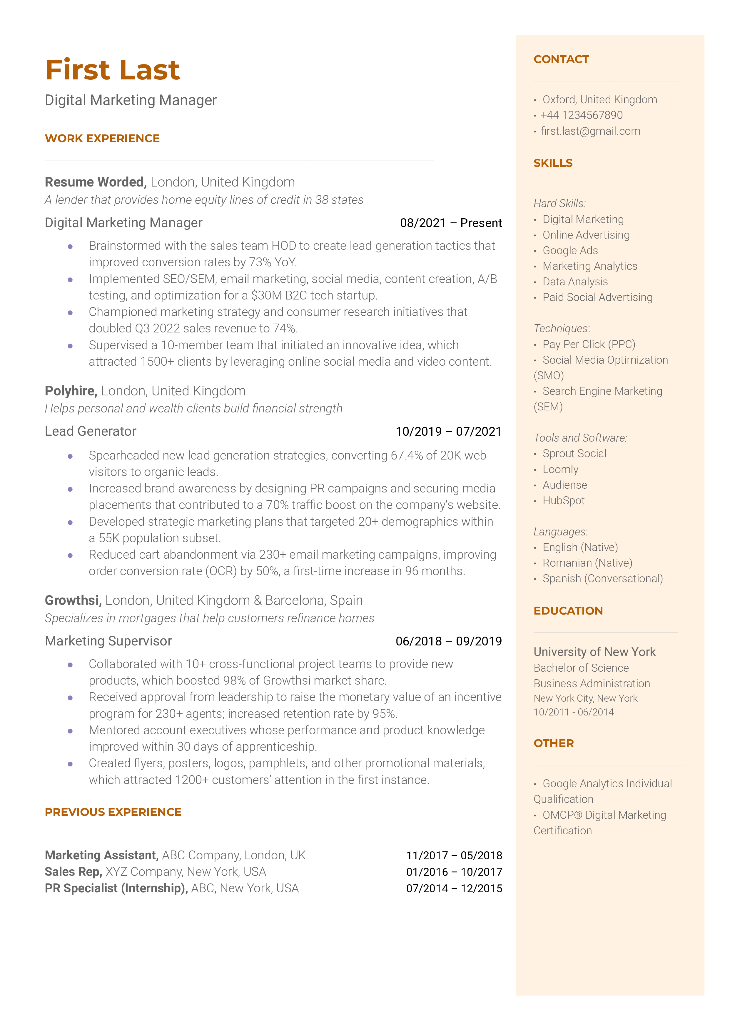 Digital Marketing Manager Resume Sample