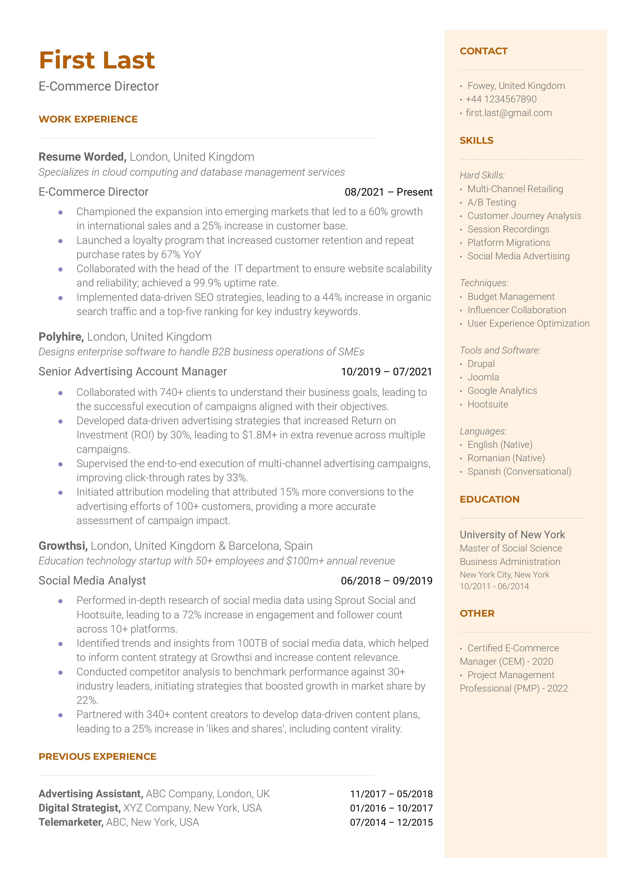 E-Commerce Director Resume Sample