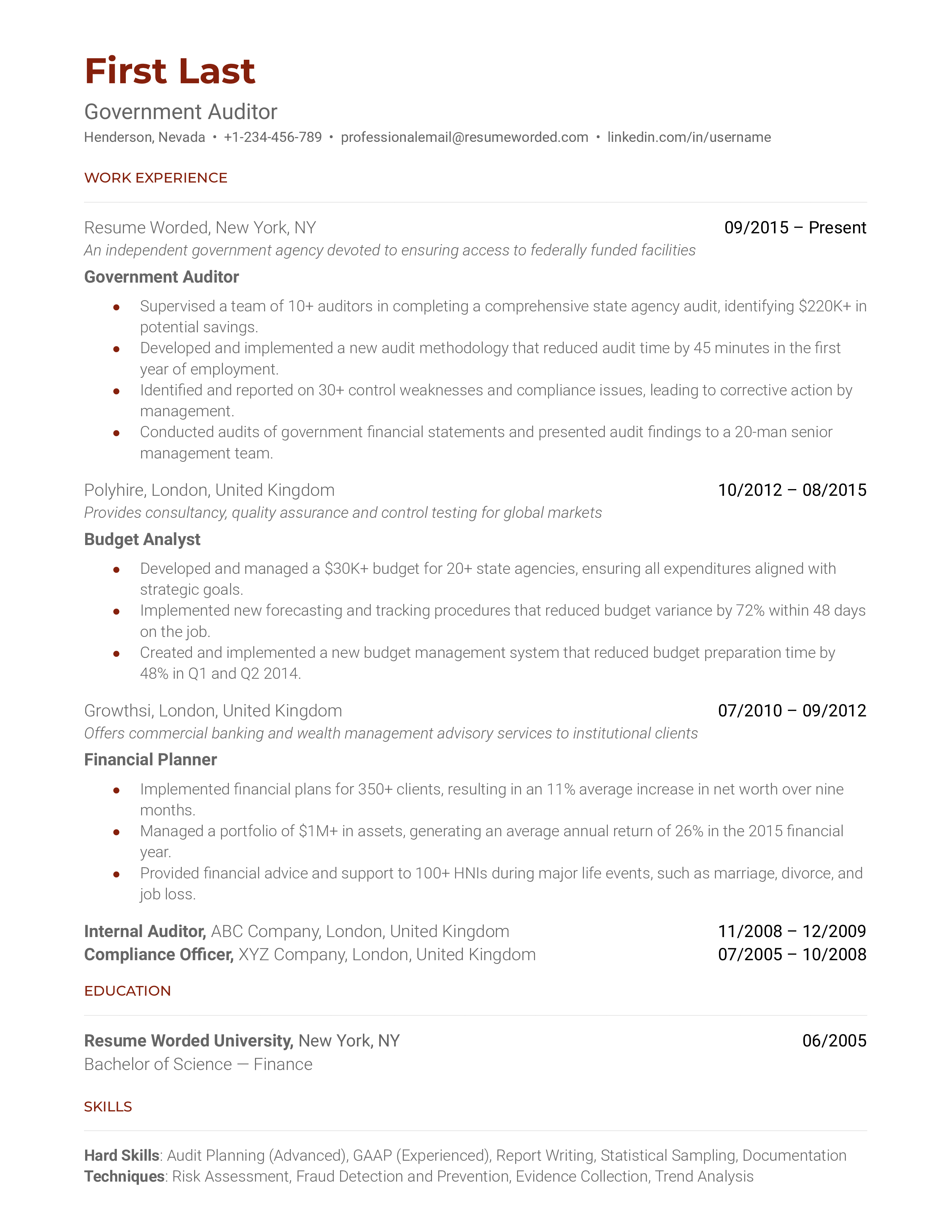 Government Auditor Resume Sample