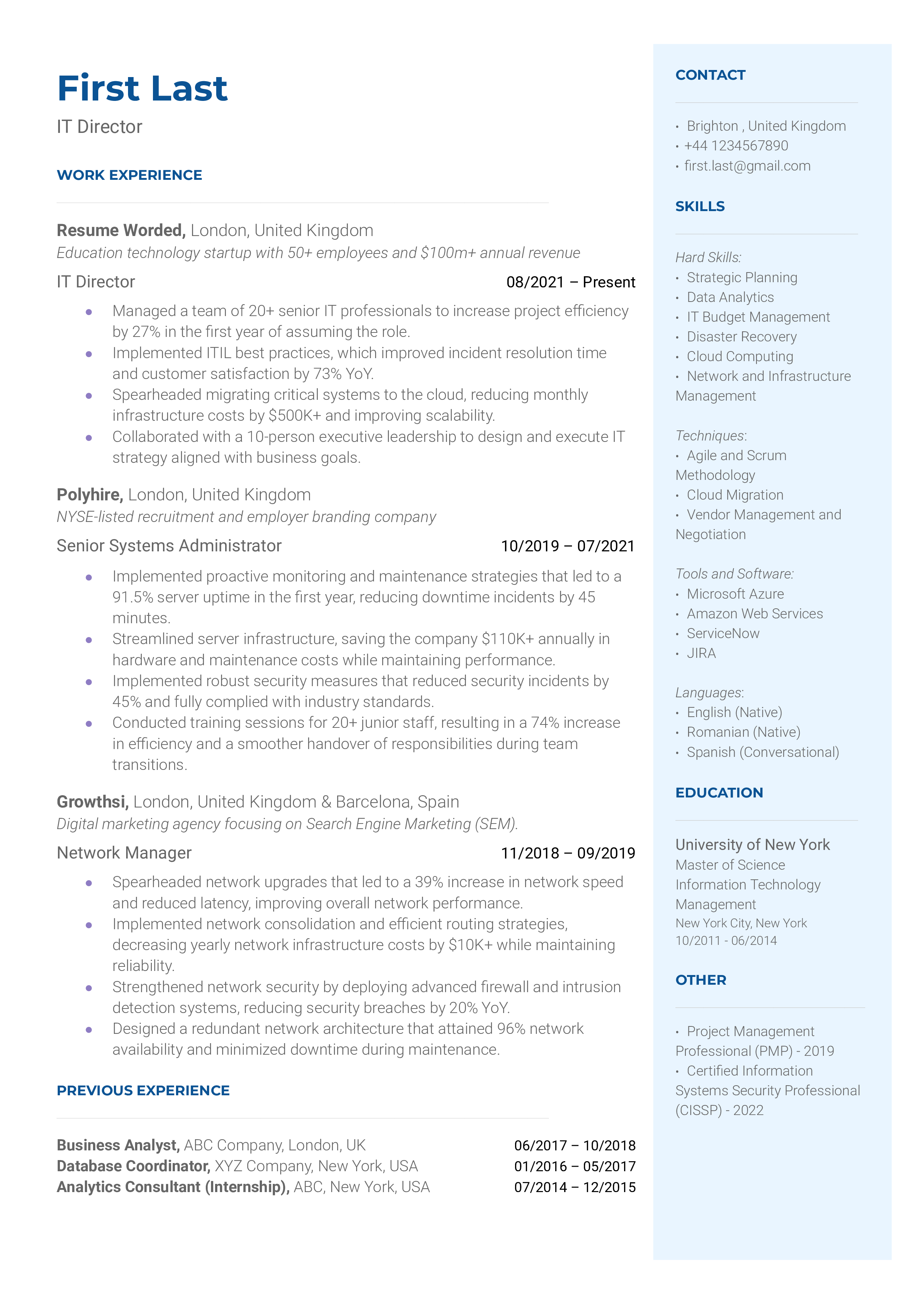 IT Director Resume Sample