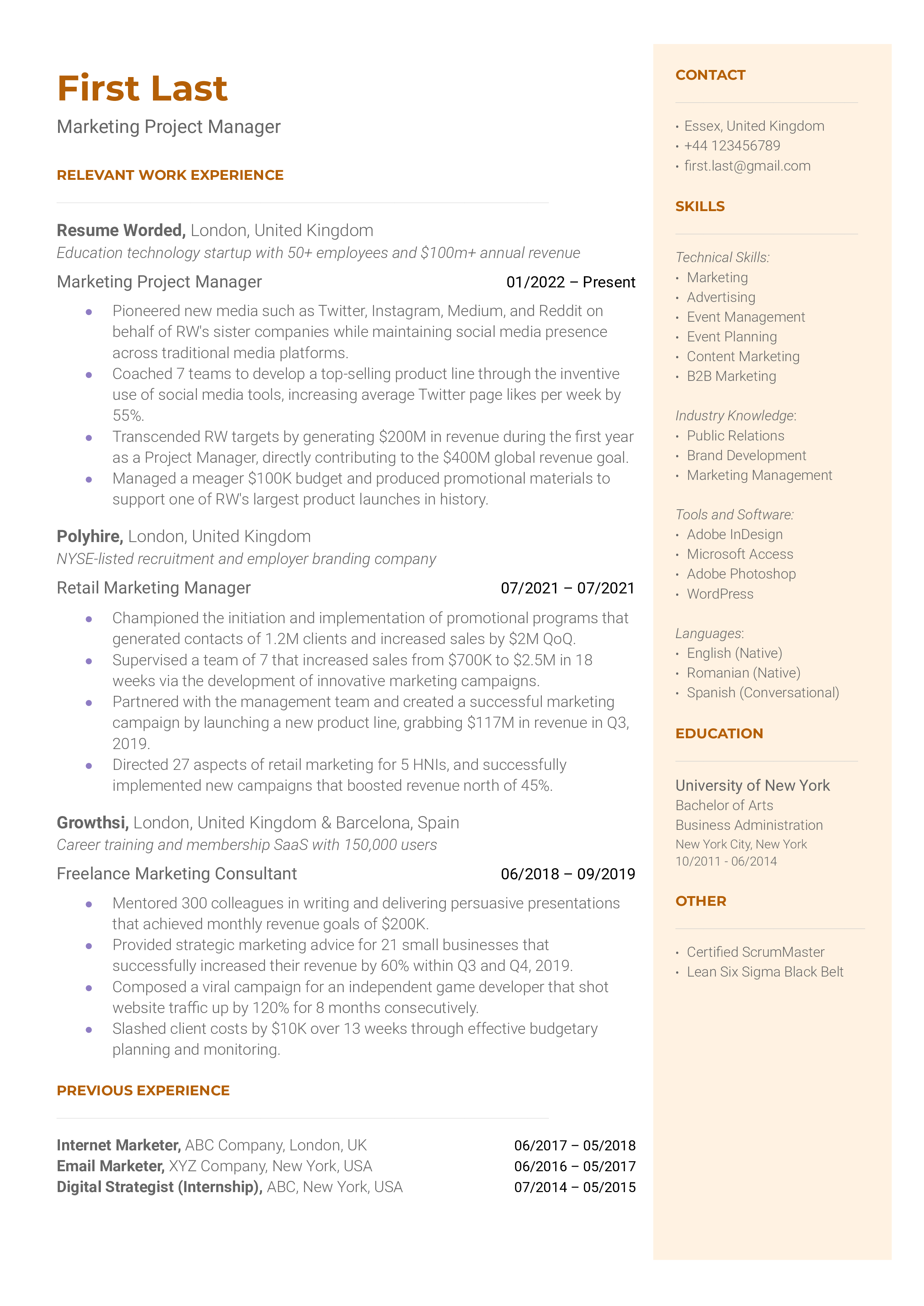  Marketing Project Manager Resume Sample