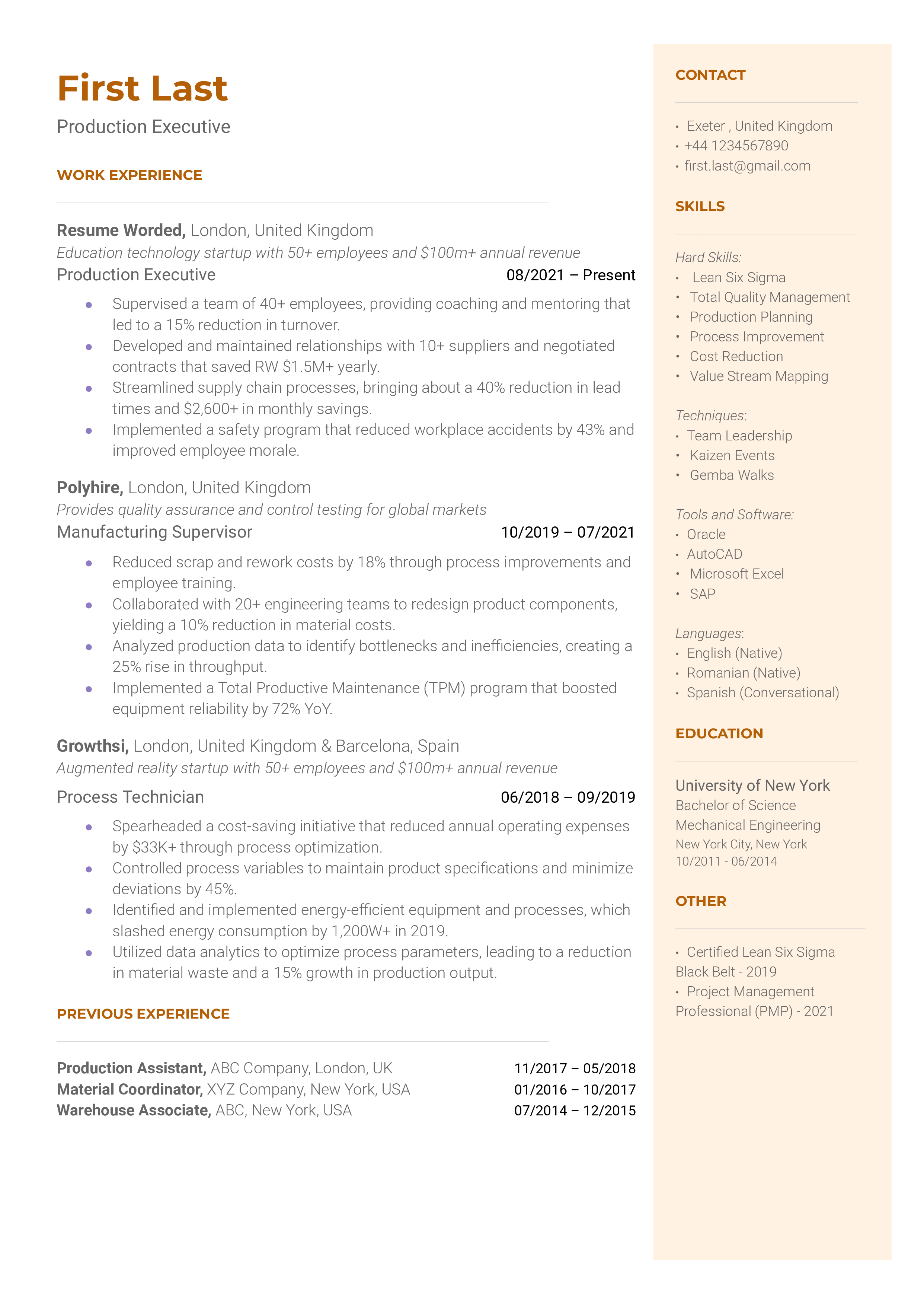 Production Executive Resume Sample