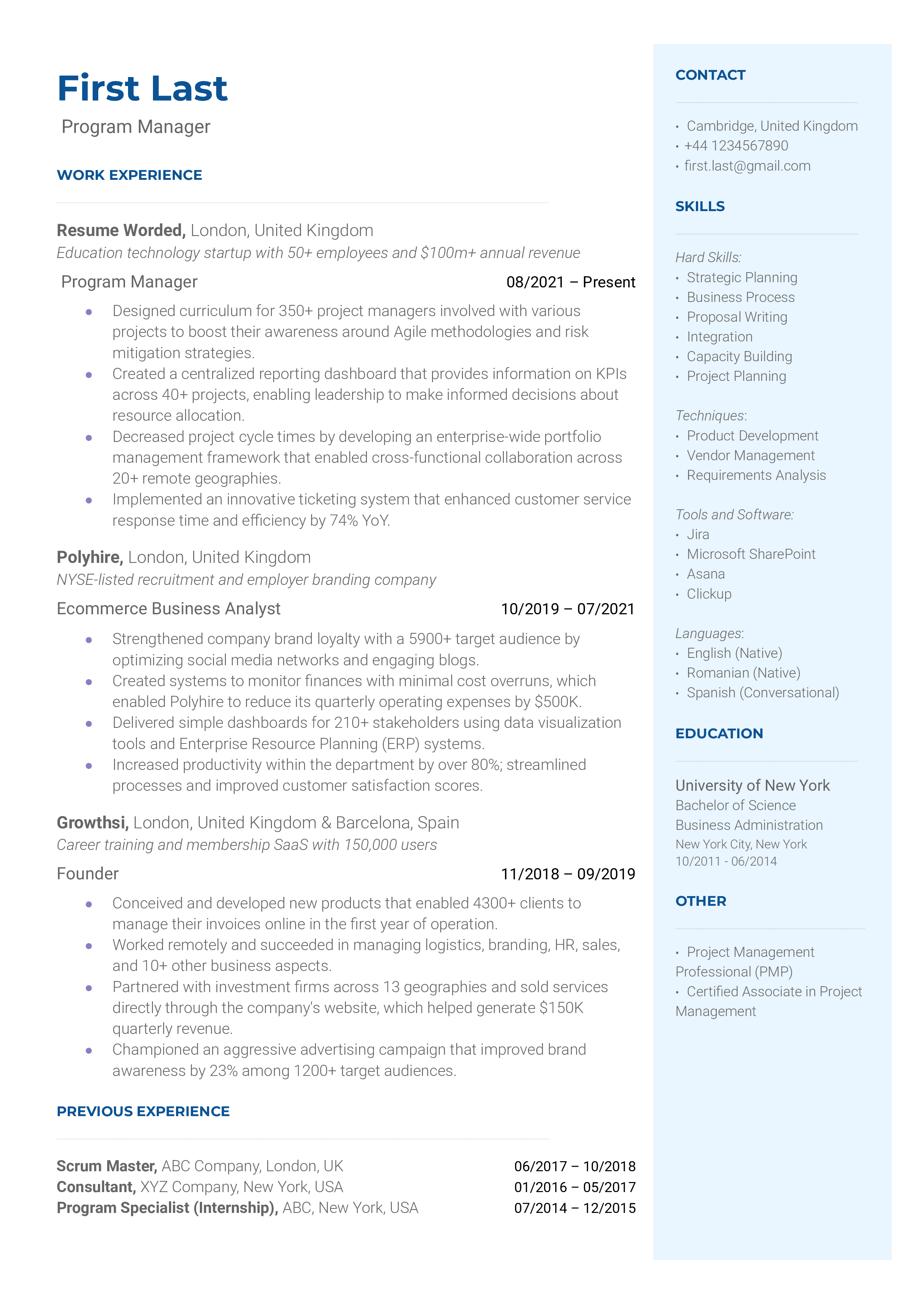 Program Manager Resume Sample