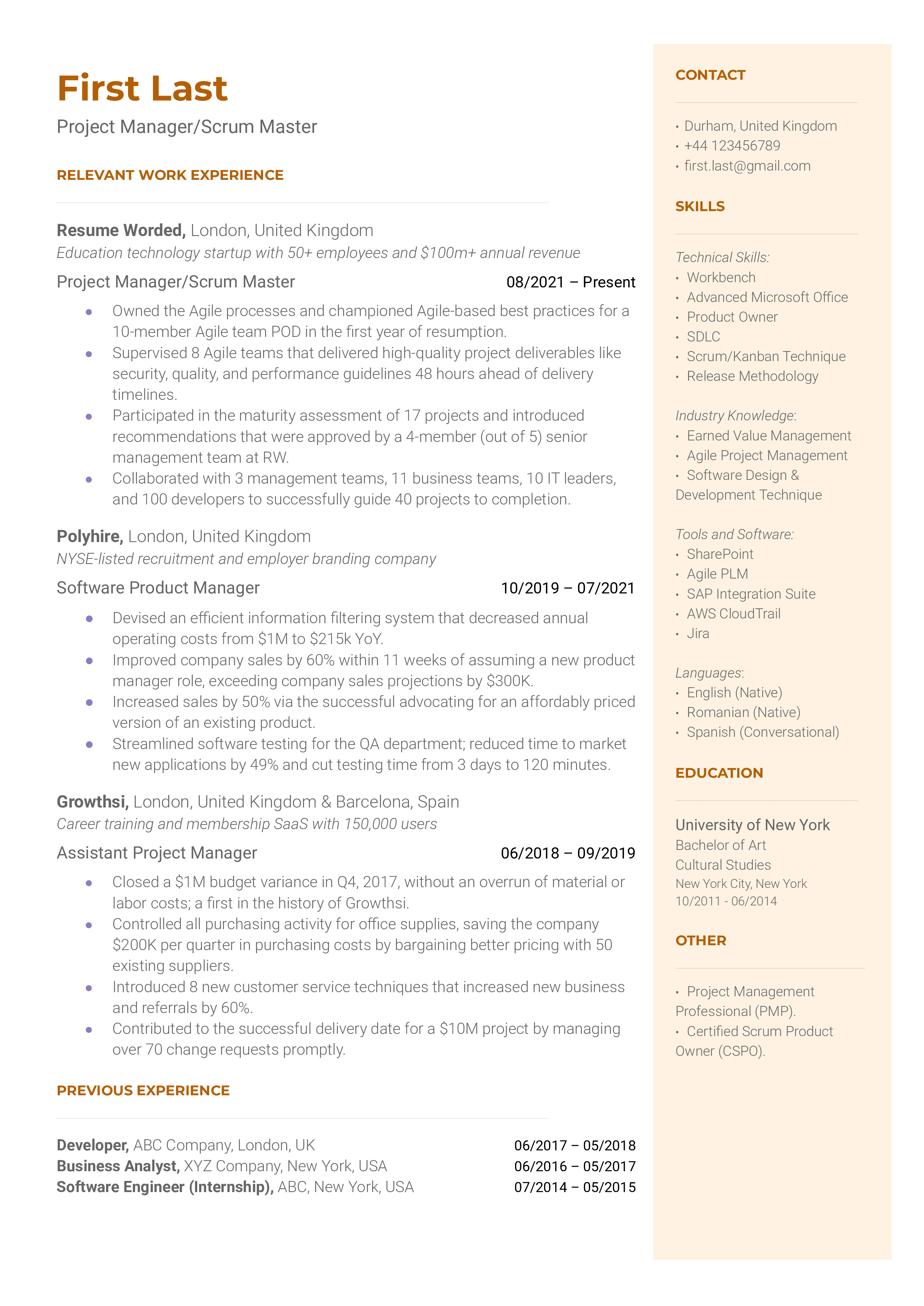 Project Manager/Scrum Master Resume Sample