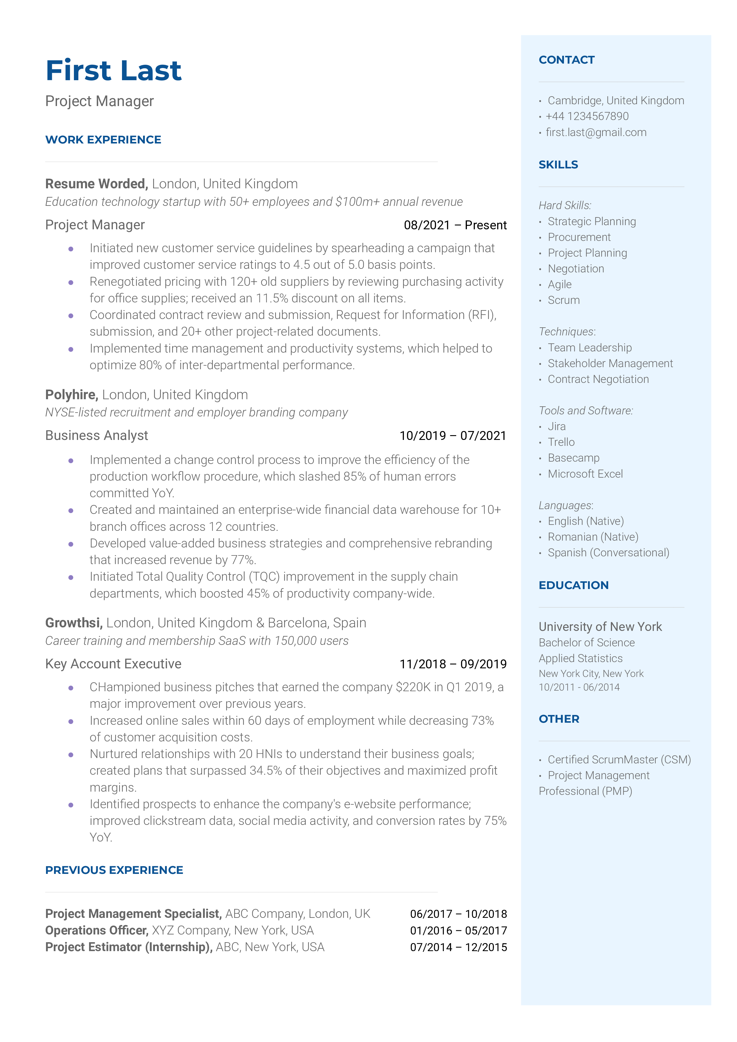 Project Manager Resume Sample