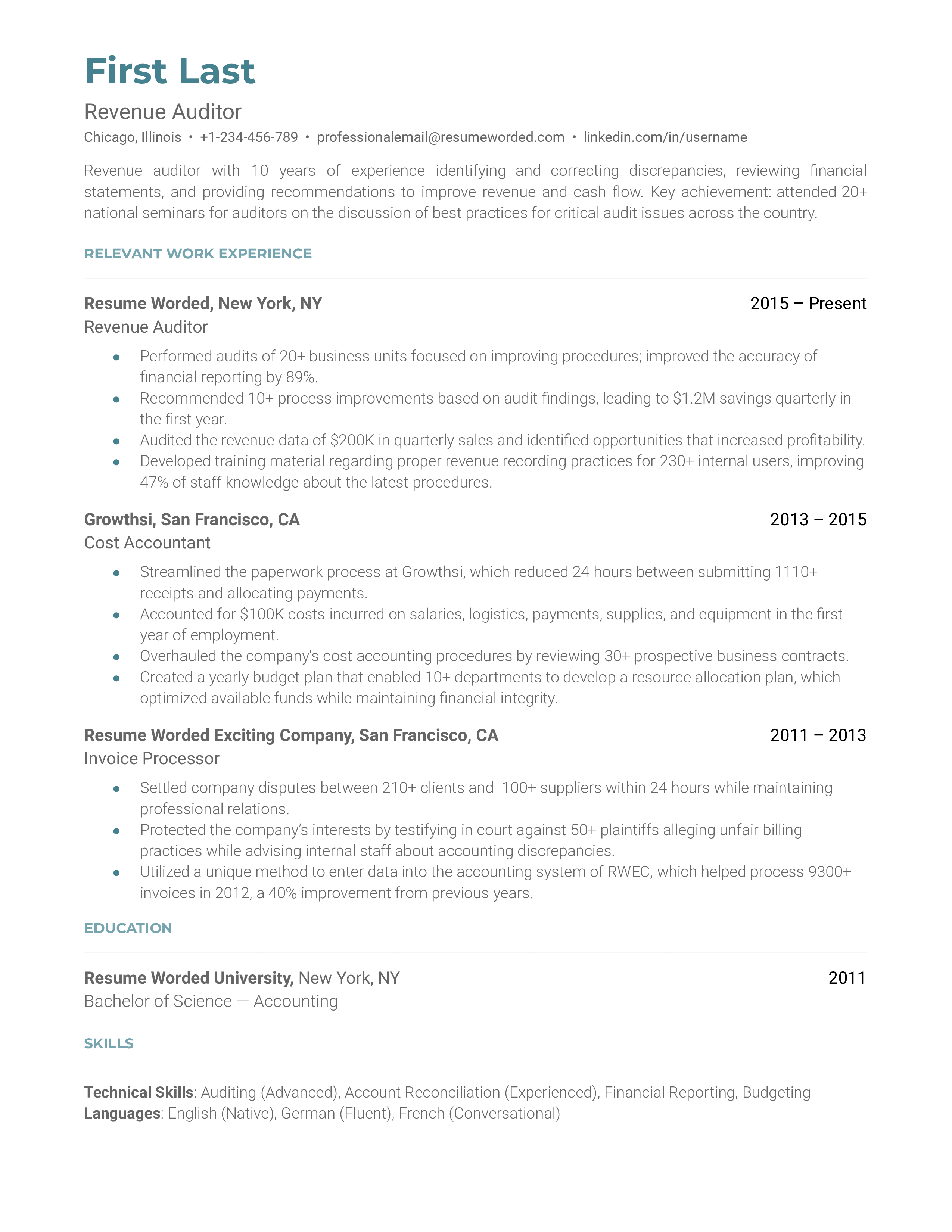 Revenue Auditor Resume Sample