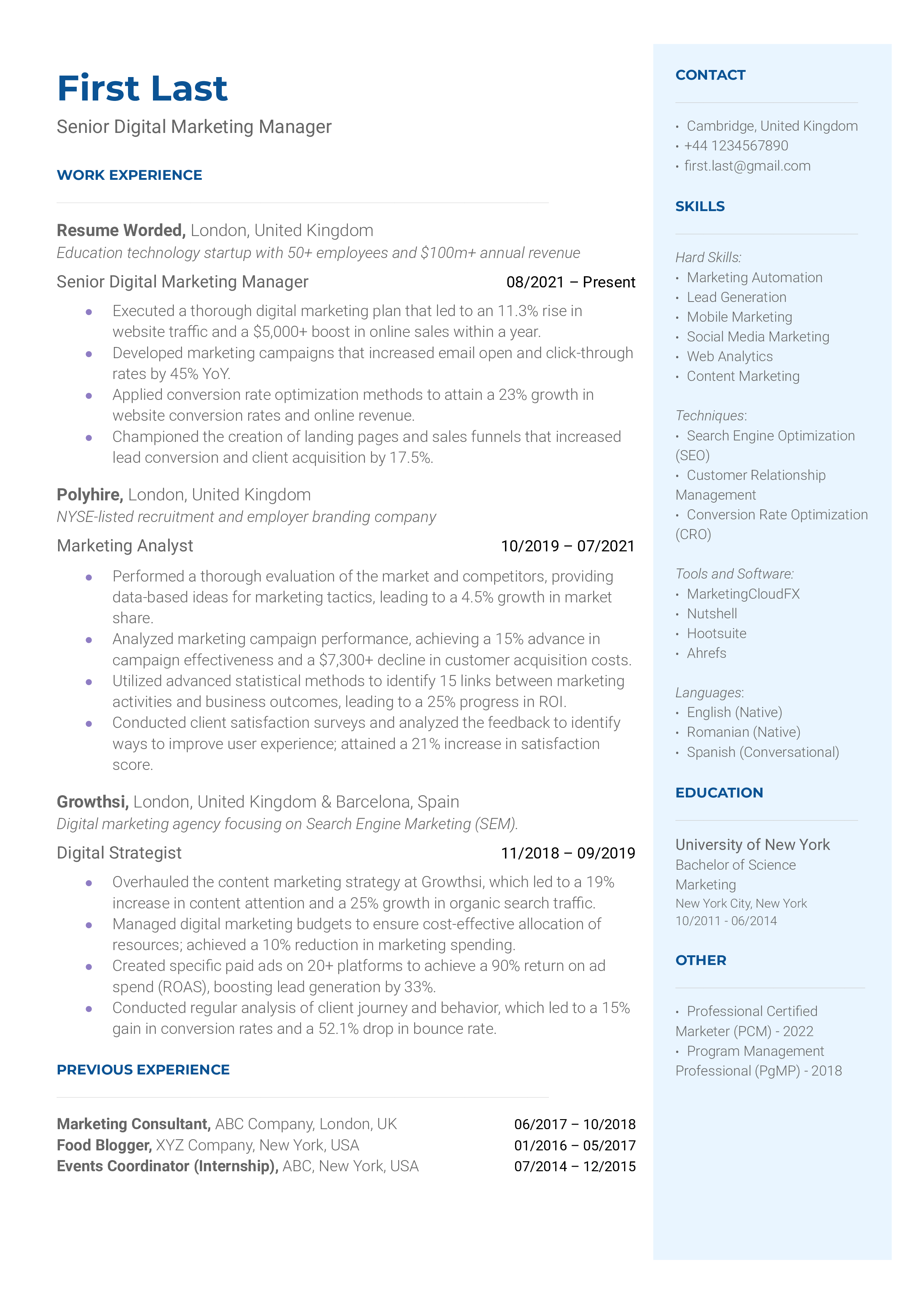 Senior Digital Marketing Manager Resume Sample