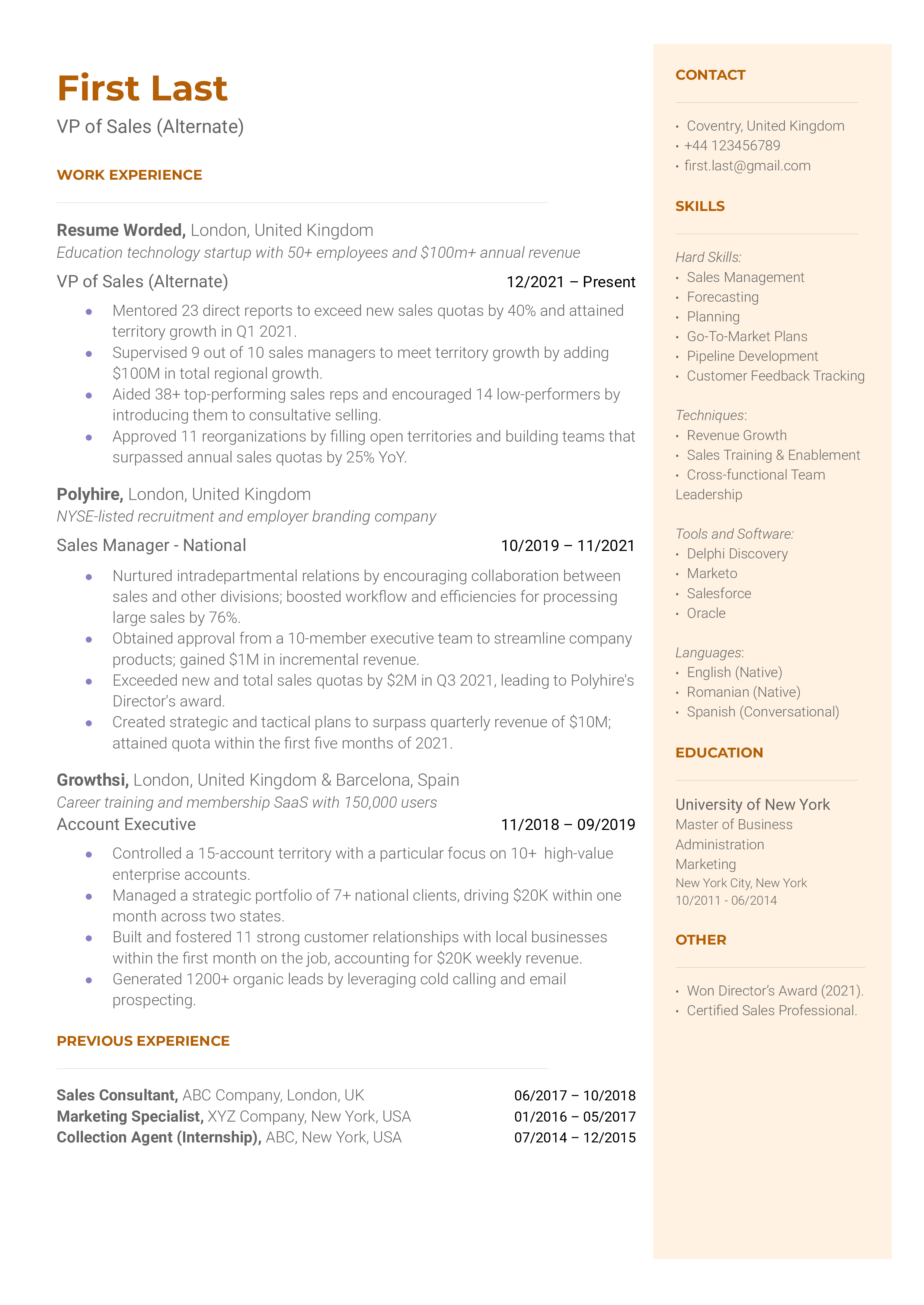 VP of Sales (Alternate) Resume Sample