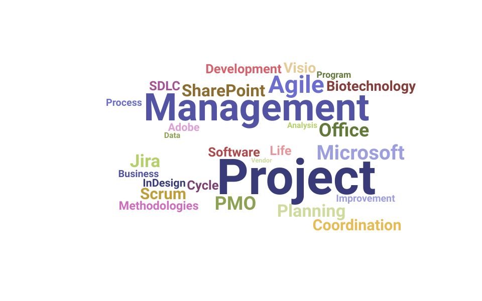 Top Software Project Lead Skills and Keywords to Include On Your Resume