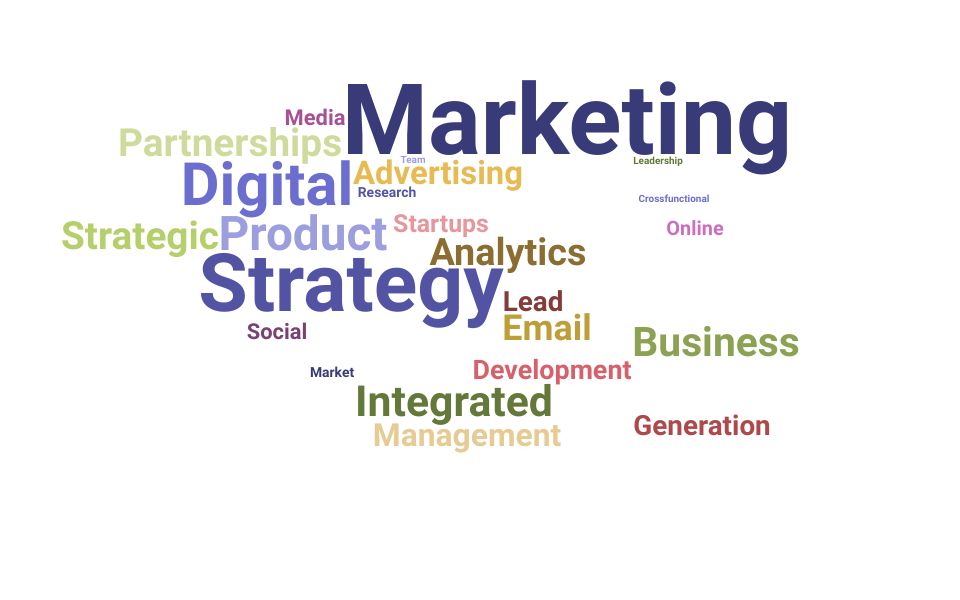 Top VP of Marketing Skills and Keywords to Include On Your Resume