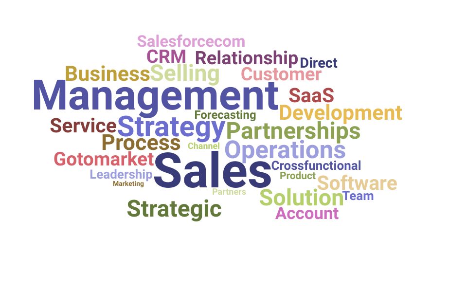 Top VP Sales Skills and Keywords to Include On Your Resume